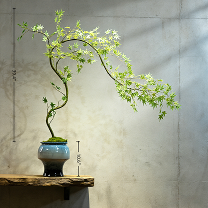 Handmade Bonsai Tree Art With Natural Wood, Zen Style For Home, Table, Office Decoration