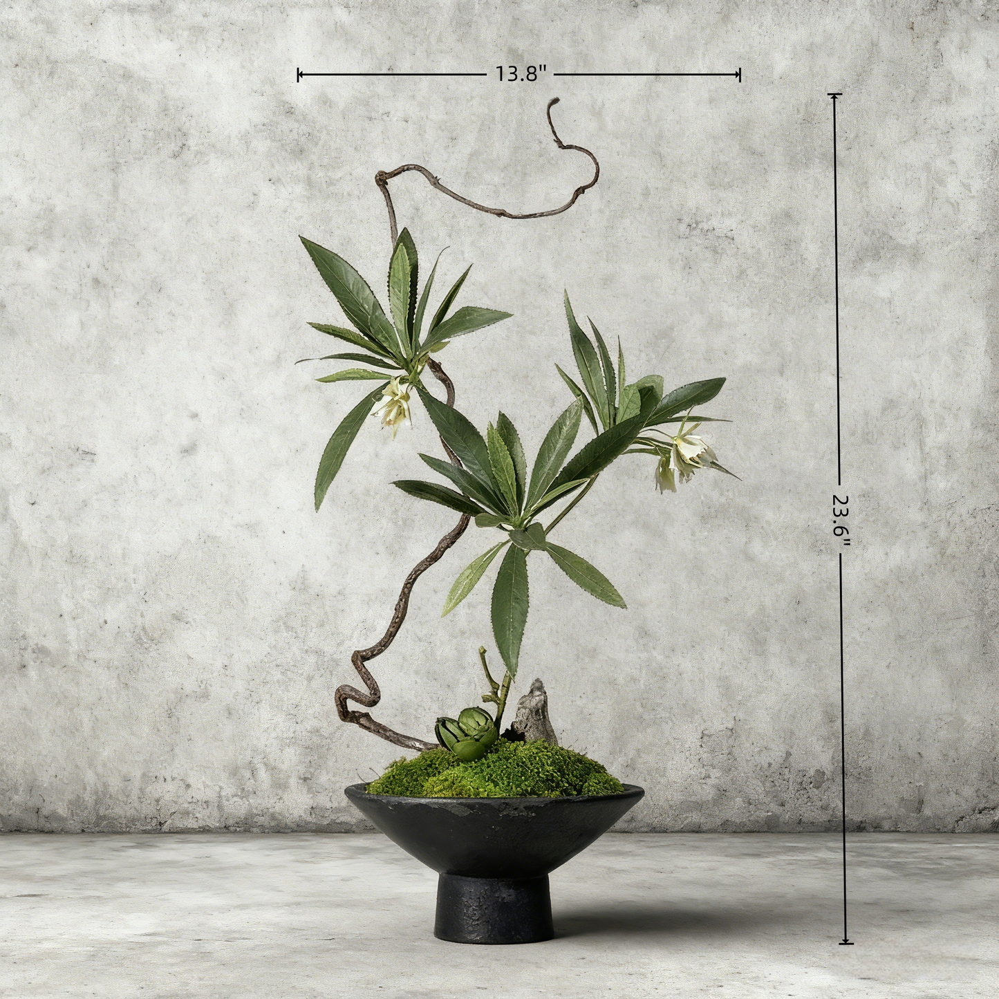 Handmade Preserved Moss Bonsai With Natural Wood Branch Arrangement with Ceramic Vase. Zen Decor for Home & Office, Indoor Plant Gift