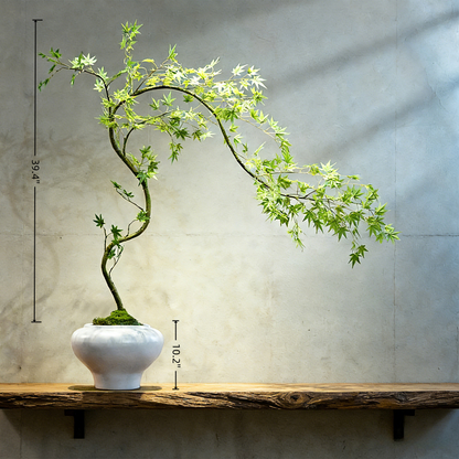 Handmade Bonsai Tree Art With Natural Wood, Zen Style For Home, Table, Office Decoration