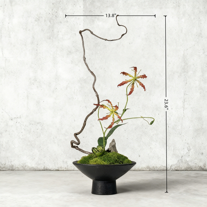 Handmade Preserved Moss Bonsai With Natural Wood Branch Arrangement with Ceramic Vase. Zen Decor for Home & Office, Indoor Plant Gift