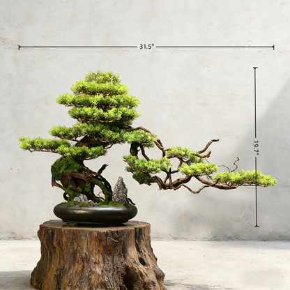 Handmade Bonsai Tree Art With Natural Wood And Ceramic Vase, Centerpieces Decoration For Home, Table, Office. Indoor Plant Gift
