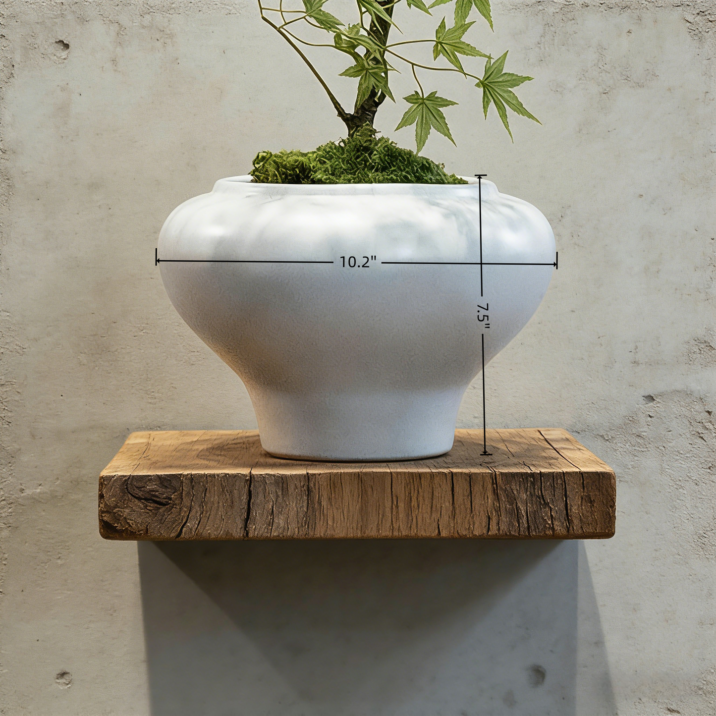 Handmade Bonsai Tree Art With Natural Wood, Zen Style For Home, Table, Office Decoration