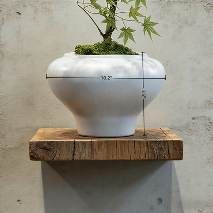 Handmade Bonsai Tree Art With Natural Wood, Zen Style For Home, Table, Office Decoration