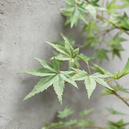 Handmade Bonsai Tree Art With Natural Wood, Zen Style For Home, Table, Office Decoration