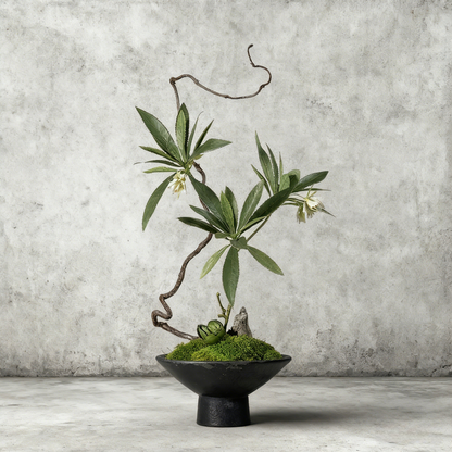 Handmade Preserved Moss Bonsai With Natural Wood Branch Arrangement with Ceramic Vase. Zen Decor for Home & Office, Indoor Plant Gift