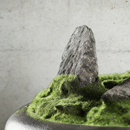 Handmade Bonsai Tree Art With Natural Wood And Ceramic Vase.  Zen Decor for Home & Office, Indoor Plant Gift