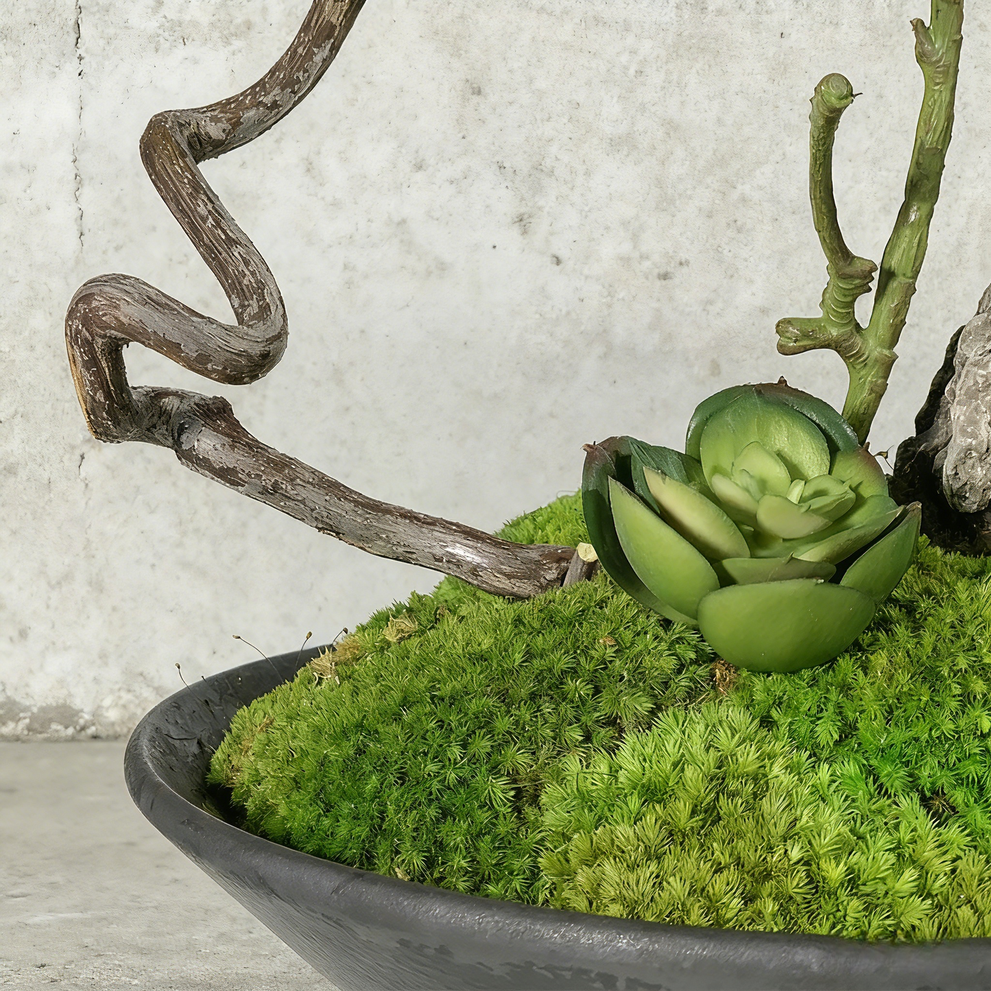 Handmade Preserved Moss Bonsai With Natural Wood Branch Arrangement with Ceramic Vase. Zen Decor for Home & Office, Indoor Plant Gift