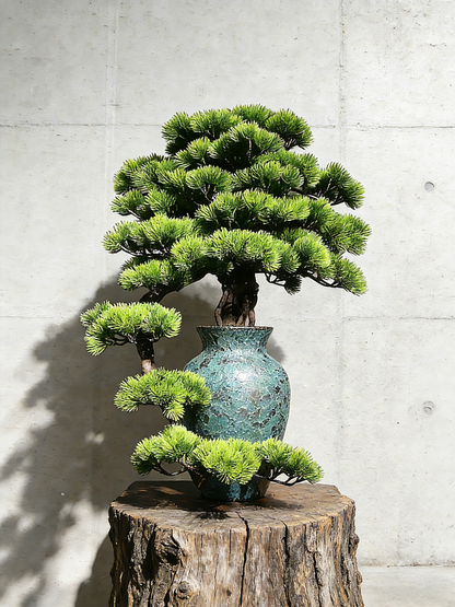 Handmade Bonsai Tree Art With Natural Wood And Ceramic Vase, Centerpieces Decoration For Home, Table, Office. Indoor Plant Gift