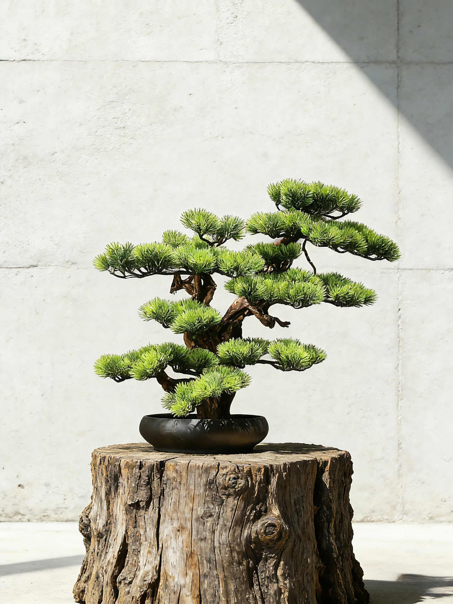 Handmade Bonsai Tree Art With Natural Wood And Ceramic Vase, Centerpieces Decoration For Home, Table, Office. Indoor Plant Gift