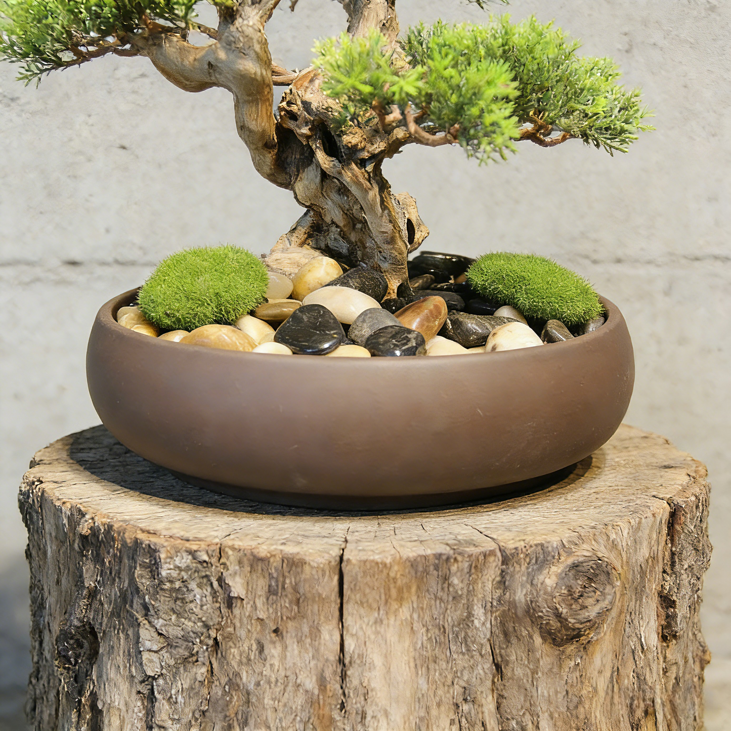 Handmade Bonsai Tree Art With Natural Wood And Ceramic Vase, Centerpieces Decoration For Home, Table, Office. Indoor Plant Gift