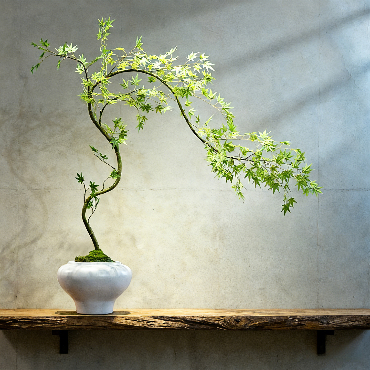 Handmade Bonsai Tree Art With Natural Wood, Zen Style For Home, Table, Office Decoration