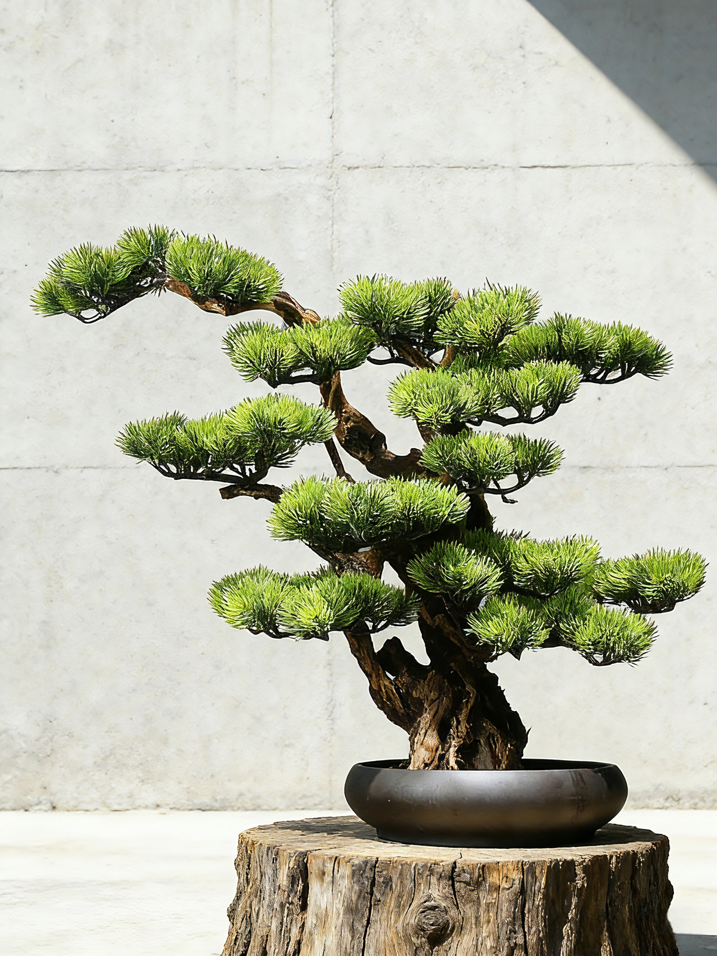 Handmade Bonsai Tree Art With Natural Wood And Ceramic Vase, Centerpieces Decoration For Home, Table, Office. Indoor Plant Gift