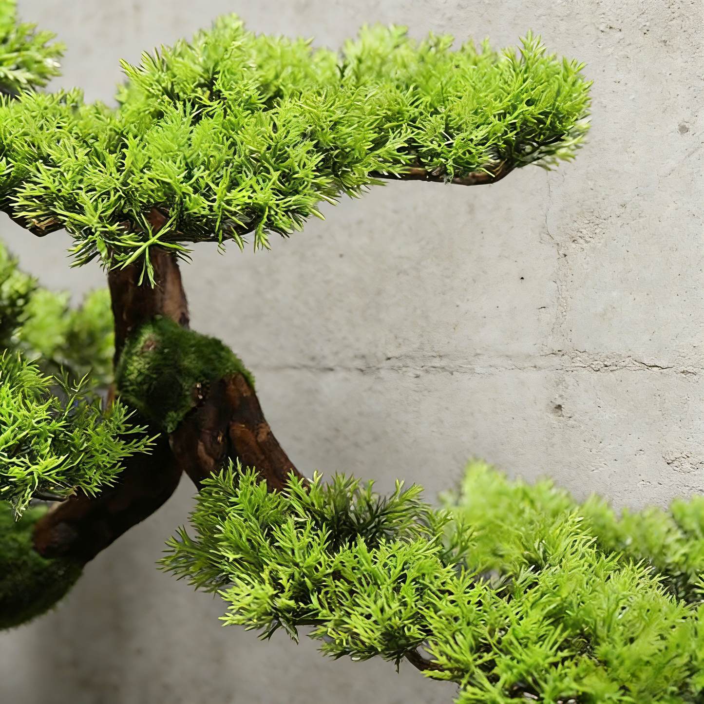 Handmade Bonsai Tree Art With Natural Wood And Ceramic Vase.  Zen Decor for Home & Office, Indoor Plant Gift