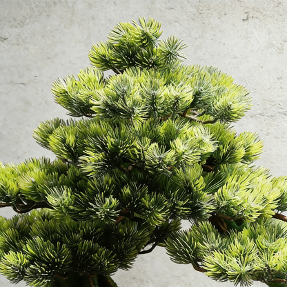 Handmade Bonsai Tree Art With Natural Wood And Stone, Zen Style Home And Office Decor