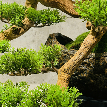 Exclusive Handmade Bonsai Tree Art With Natural Wood, Zen-Style Home Decoration