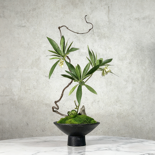 Handmade Preserved Moss Bonsai With Natural Wood Branch Arrangement with Ceramic Vase. Zen Decor for Home & Office, Indoor Plant Gift