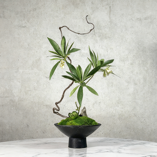 Handmade Preserved Moss Bonsai With Natural Wood Branch Arrangement with Ceramic Vase. Zen Decor for Home & Office, Indoor Plant Gift